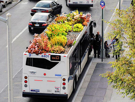 Même les bus se mettent aux toits végétalisés …