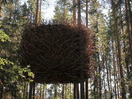 TreeHotel un hôtel dans les arbres #2