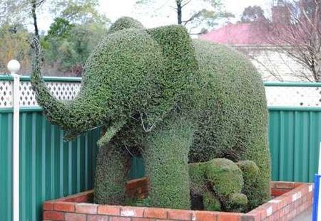 De l’herbe au coton ... les doudous se transforment.
