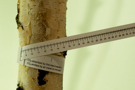 Combien un arbre absorbe-t-il de CO2 ?