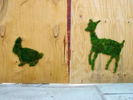 Du graff vert à la rébellion jardinière ! Peau Ethique