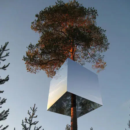 TreeHotel un hôtel dans les arbres Peau Ethique
