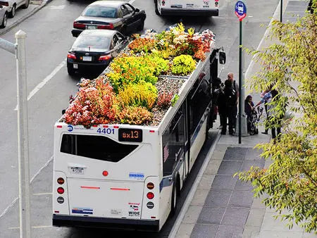 Même les bus se mettent aux toits végétalisés … Peau Ethique