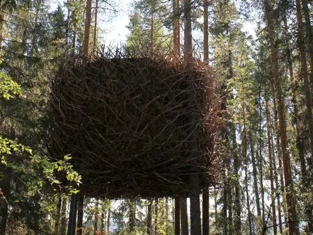 TreeHotel un hôtel dans les arbres #2 Peau Ethique