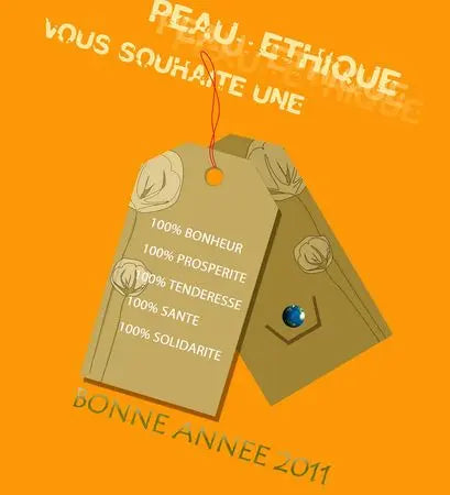 Bilan Année 2010 Peau Ethique