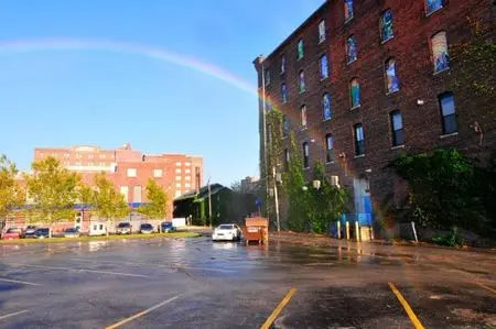 Comment un artiste arrive à recréer des arcs en ciel ! Peau Ethique