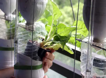 Windowfarms : le jardin en kit d’intérieur en hiver … Peau Ethique
