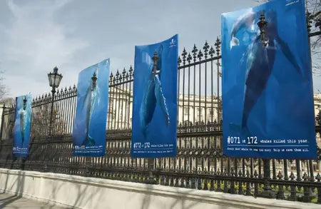 Sea Sheperd et sa nouvelle campagne Peau Ethique
