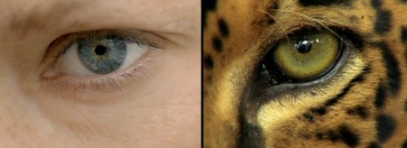 WWF : Nous sommes tous connectés