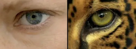 WWF : Nous sommes tous connectés Peau Ethique