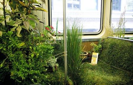 Du vert, de la verdure le tout dans le métro !