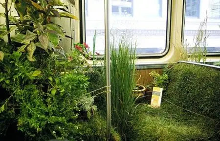 Du vert, de la verdure le tout dans le métro ! Peau Ethique