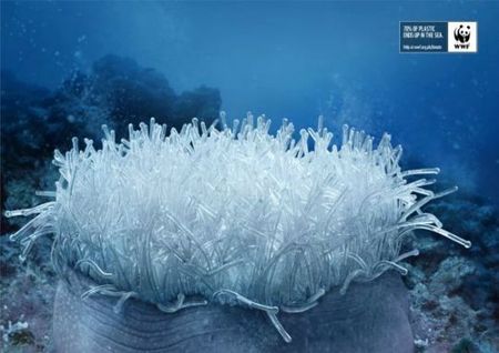Quand le plastique se termine dans la mer : campagne WWF
