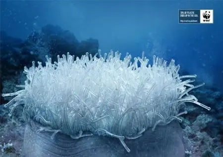 Quand le plastique se termine dans la mer : campagne WWF Peau Ethique