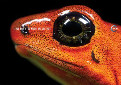 Quand L'IUCN appelle à réduire les constructions