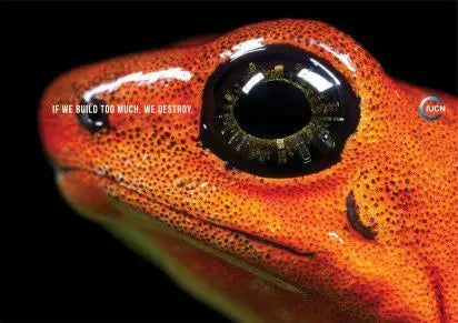 Quand L'IUCN appelle à réduire les constructions Peau Ethique