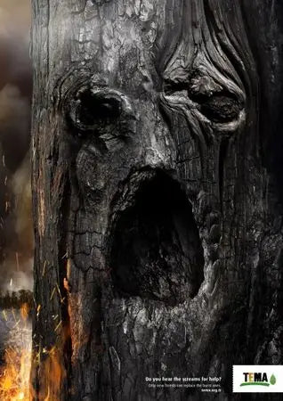 Les incendies quand les arbres appellent à l'aide Peau Ethique