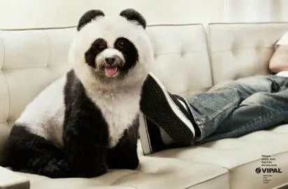 Sauvons les pandas et les zébres ! Peau Ethique
