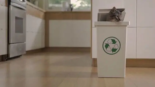 Norman le chat eco-warrior (pas du lolcat mais presque !) Peau Ethique