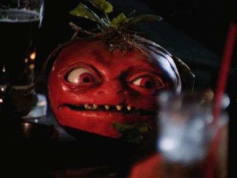 Les tomates en hiver
