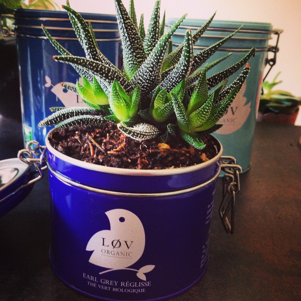 [Deco] Upcycling de nos boîtes de thé !