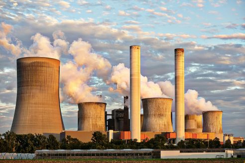 Impact Environnemental de l’Industrie Textile : Le Coton Biologique Comme Solution Durable