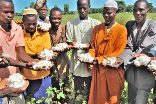 La culture du coton OGM en Afrique de l’Ouest Peau Ethique
