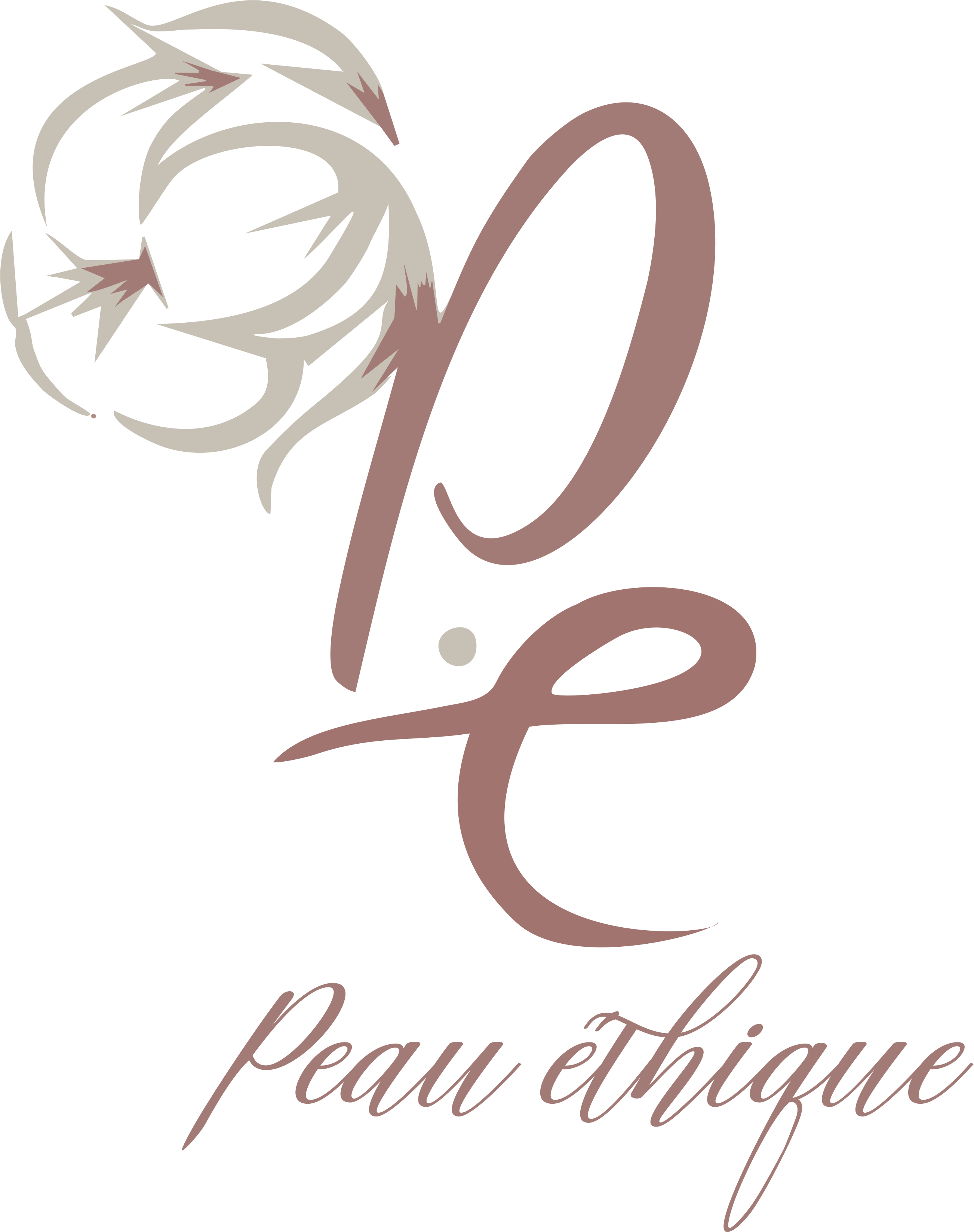 When organic and fair trade dare to go on TV: the example of Alter Eco ...